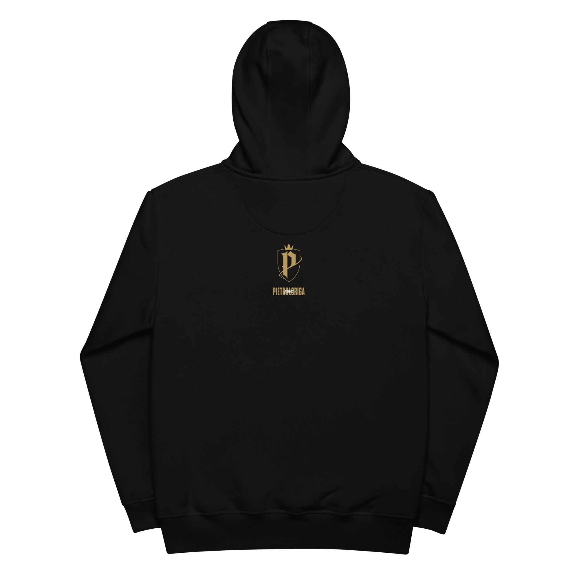 premium-eco-hoodie-black-back-660a66848bbaa.png